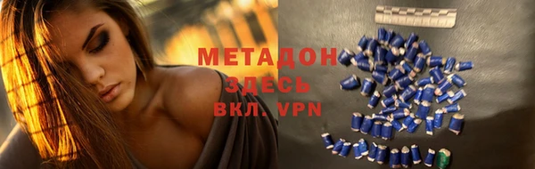 гашик Корсаков