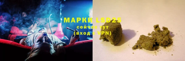 гашик Корсаков