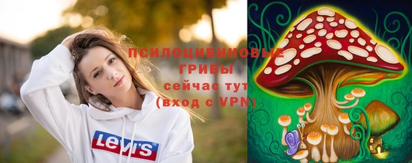 гашик Корсаков