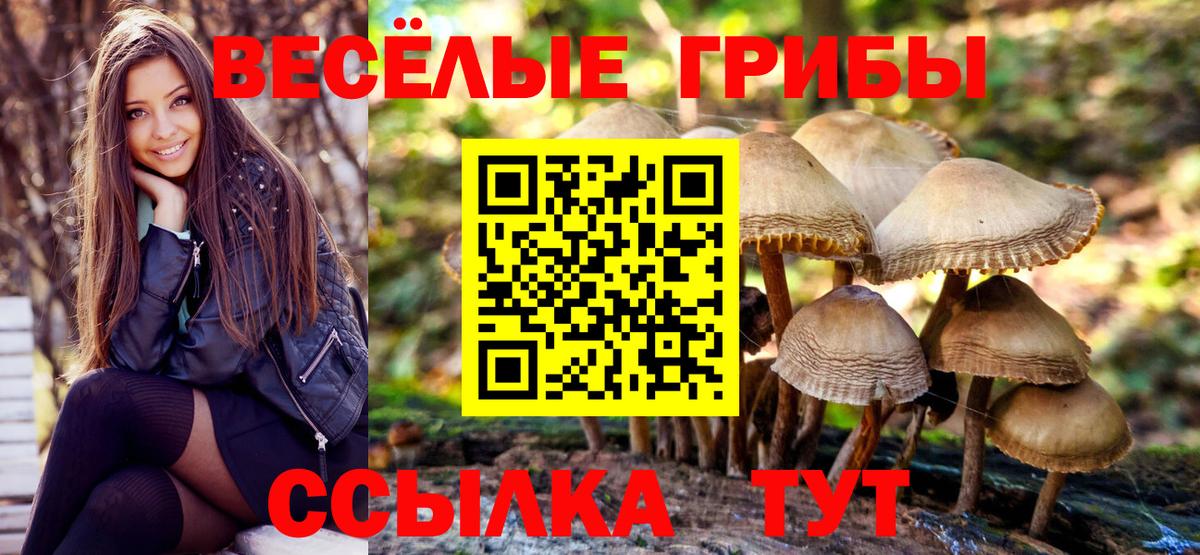 Псилоцибиновые грибы ЛСД Пятигорск