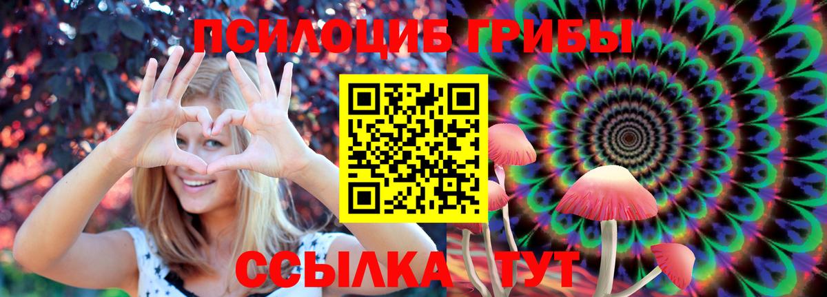 дарнет шоп  Псилоцибиновые грибы Cubensis  Вход с VPN  Пятигорск 