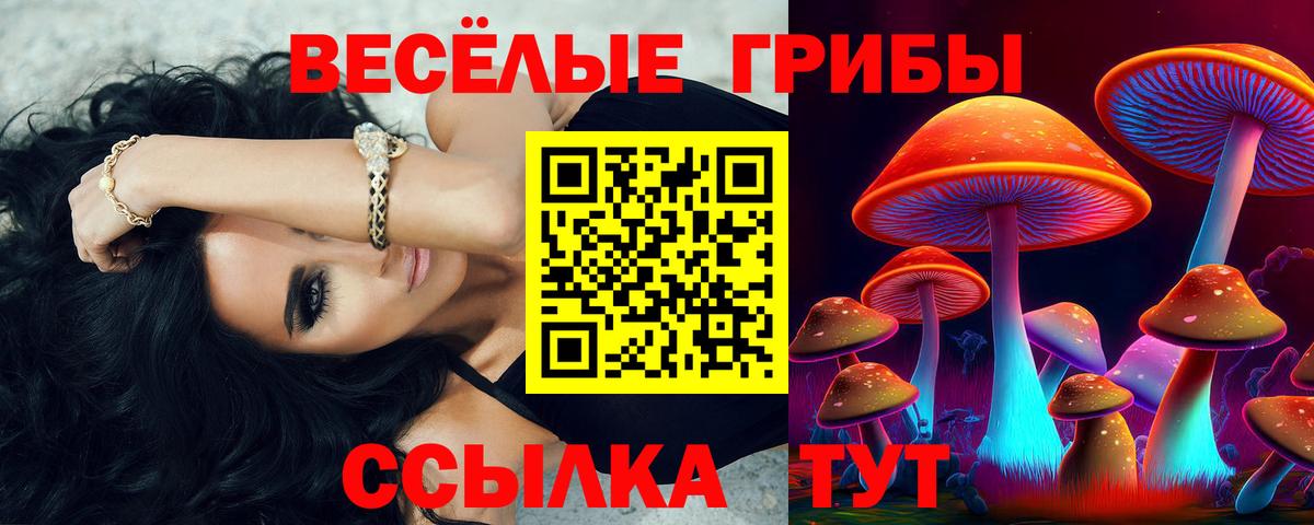 Галлюциногенные грибы Magic Shrooms Пятигорск