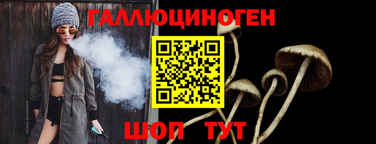 Псилоцибиновые грибы GOLDEN TEACHER  Галлюциногенные грибы Cubensis  Пятигорск 