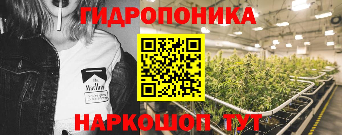 Каннабис SATIVA & INDICA  Конопля сатива  Каннабис конопля  Пятигорск  Бошки марихуана тримм  Вход с VPN 